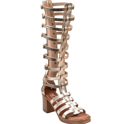 Collection image for: Gladiator