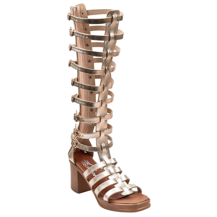 Collection image for: Gladiator