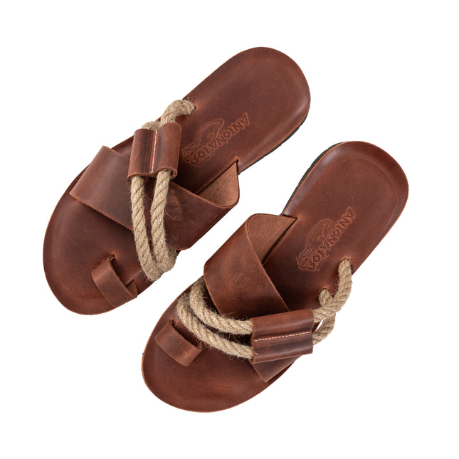 Aesop Chestnut