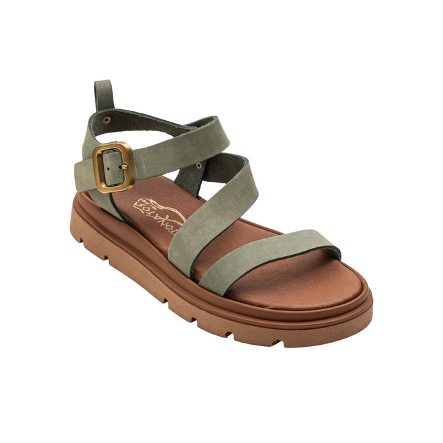 Alcyone Olive