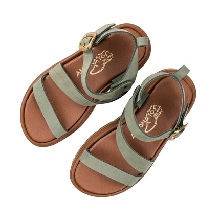 Alcyone Olive