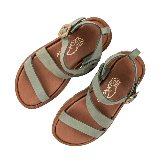 Alcyone Olive