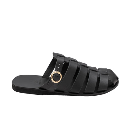 Aristomache Black