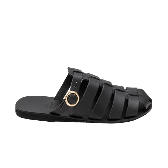 Aristomache Black