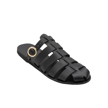 Aristomache Black