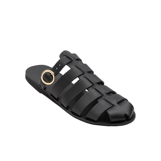 Aristomache Black