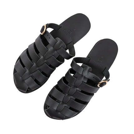 Aristomache Black