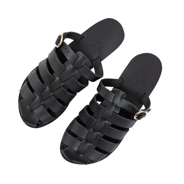 Aristomache Black