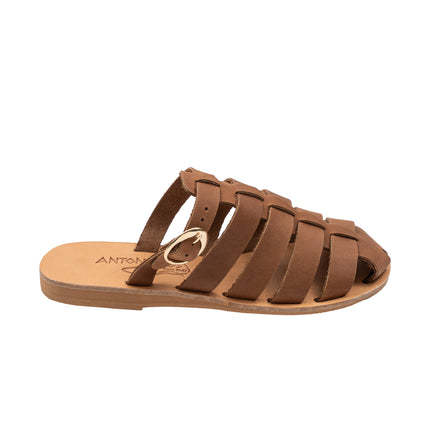 Aristomache Brown