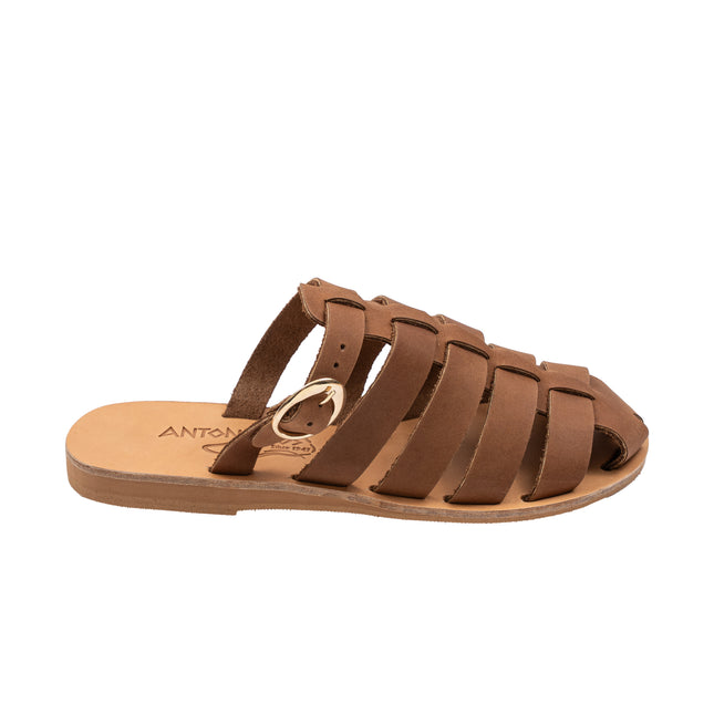 Aristomache Brown