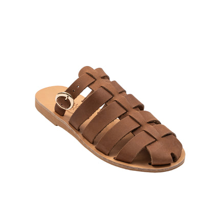 Aristomache Brown