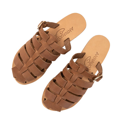 Aristomache Brown