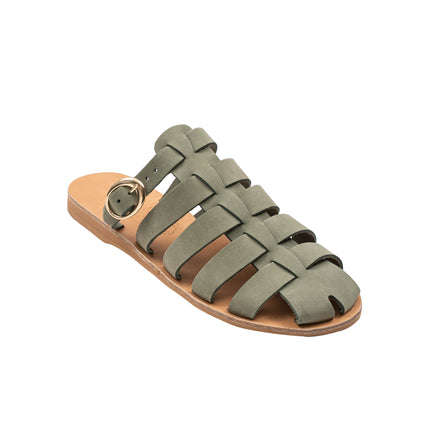 Aristomache Olive