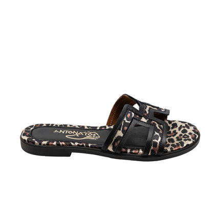 Helena Leopard