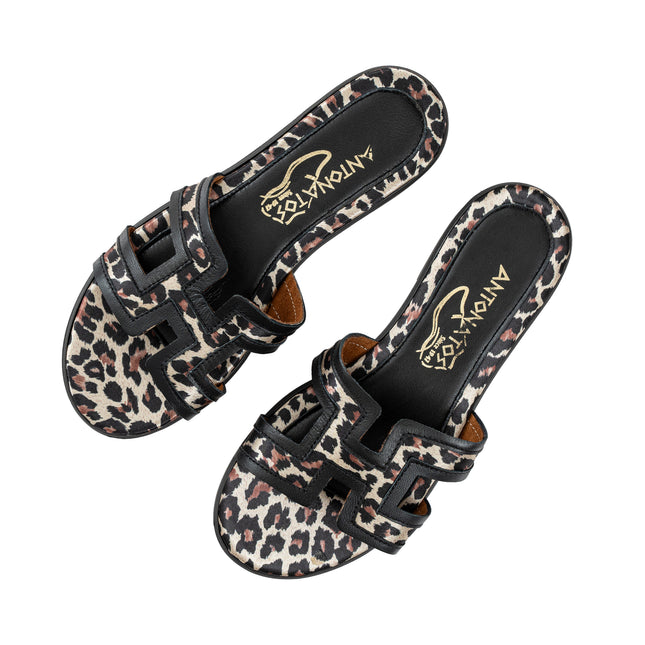 Helena Leopard