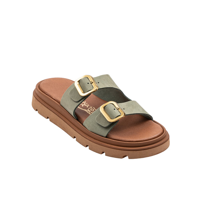 Lyra Olive