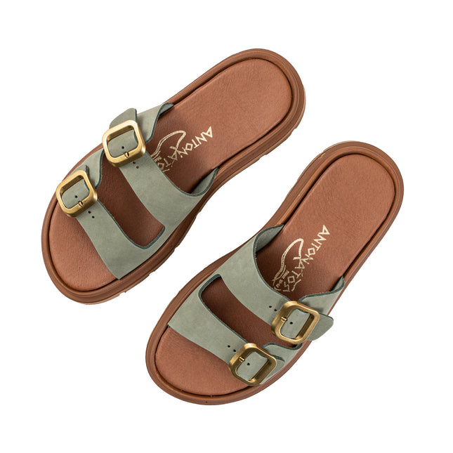 Lyra Olive