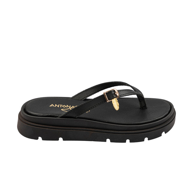Panope Black