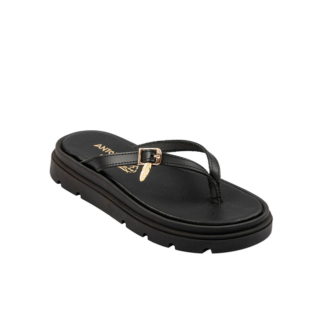 Panope Black