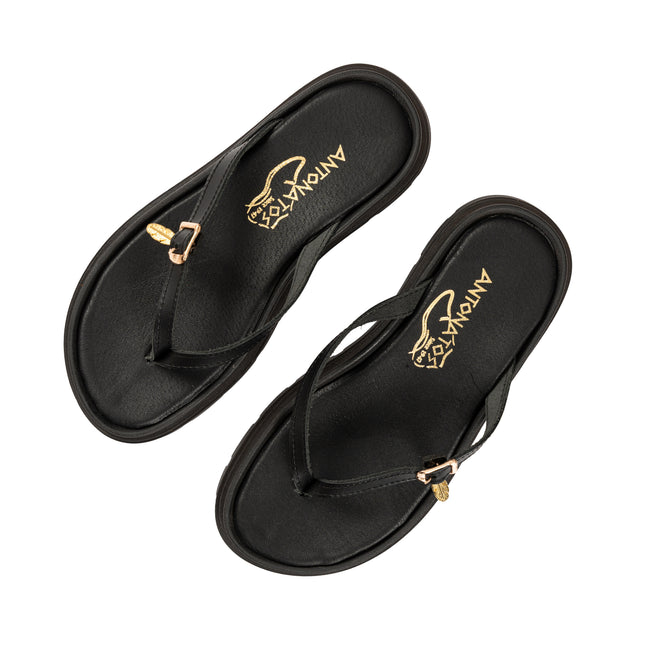 Panope Black