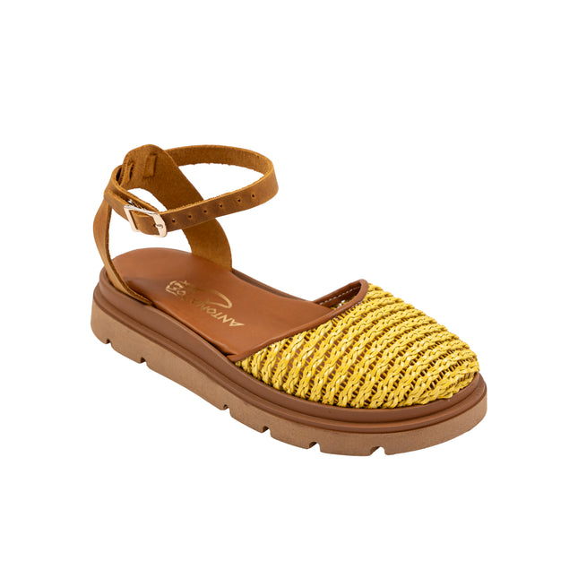 Phoebe Yellow