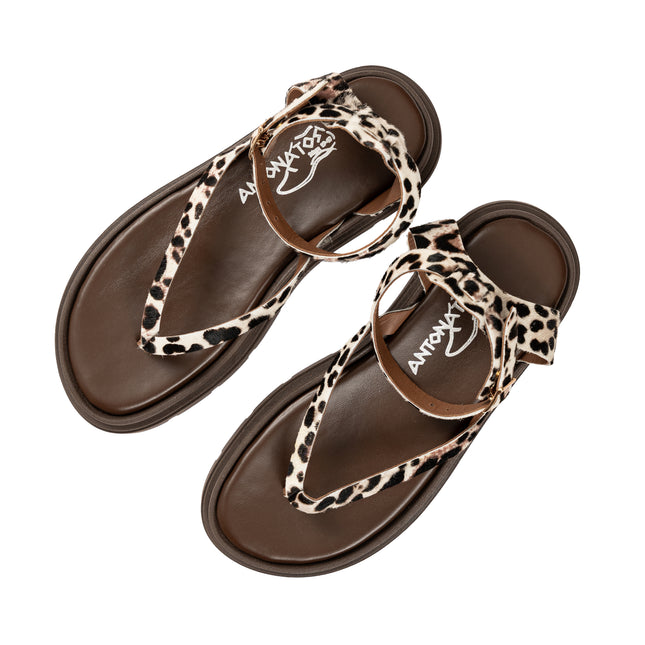 Thaleia Leopard